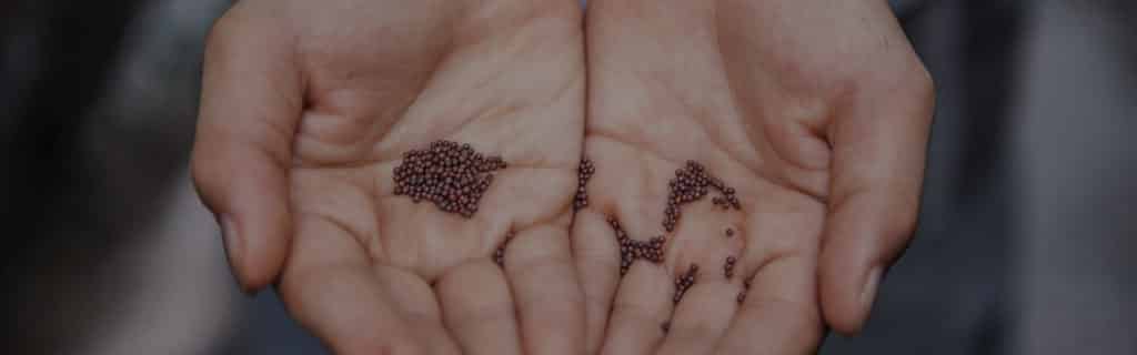 woman holding seeds